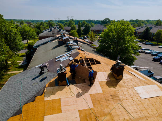 Best Flat Roof Repair Services  in North Middletown, NJ